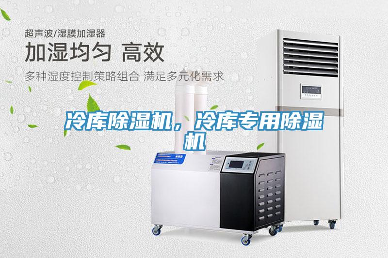 冷库除湿机，冷库专用除湿机