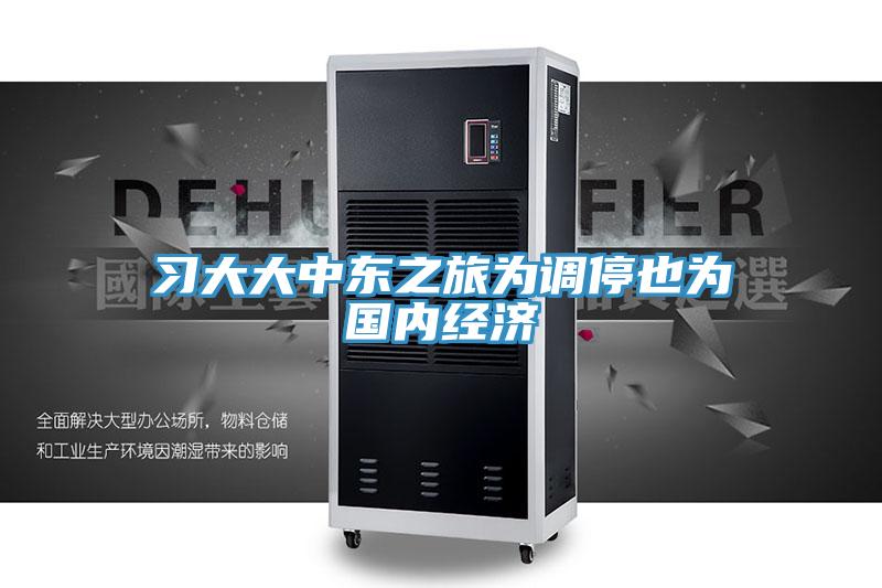 习大大中东之旅为调停也为国内经济