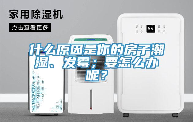 什么原因是你的房子潮湿、发霉；要怎么办呢？