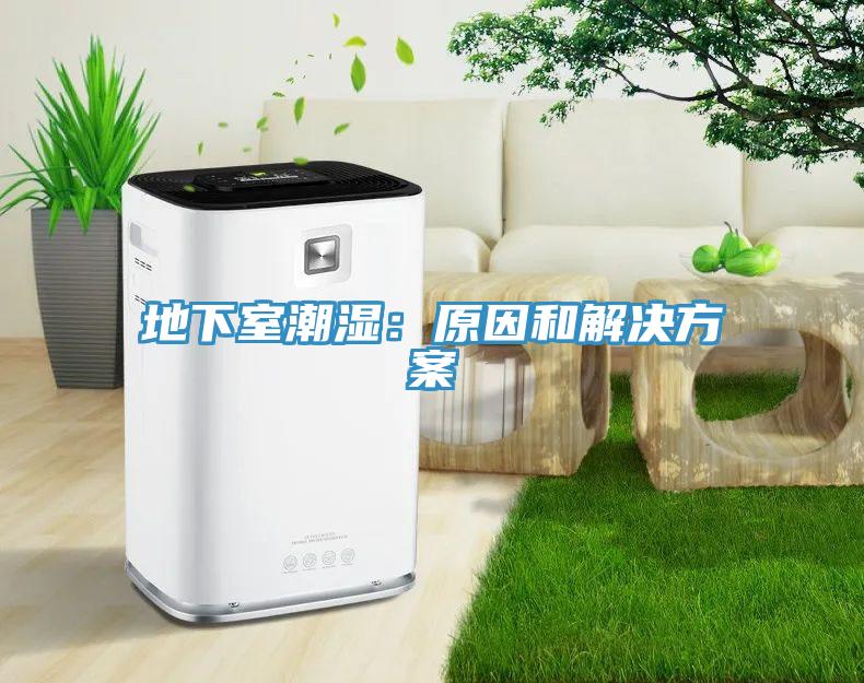 地下室潮湿：原因和解决方案