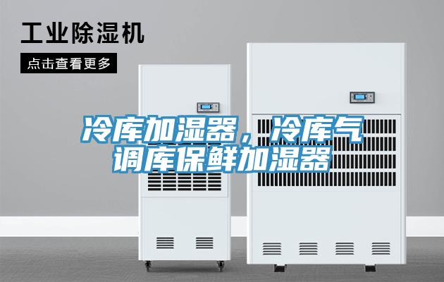 冷库加湿器，冷库气调库保鲜加湿器
