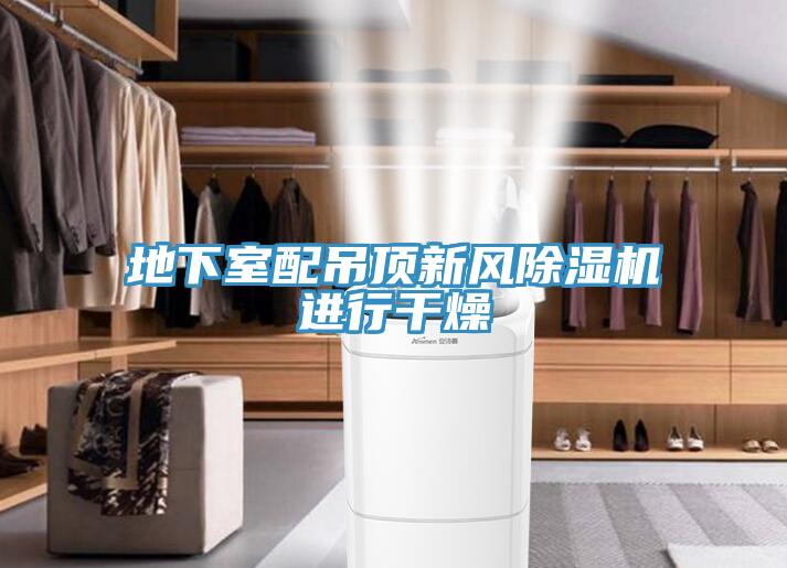 地下室配吊顶新风除湿机进行干燥