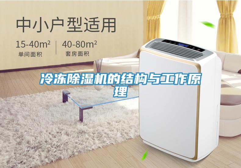 冷冻除湿机的结构与工作原理