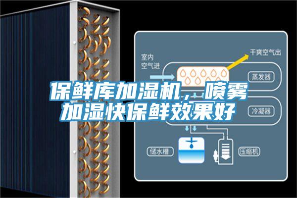 保鲜库加湿机，喷雾加湿快保鲜效果好