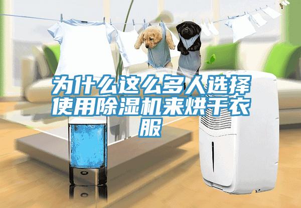 为什么这么多人选择使用除湿机来烘干衣服