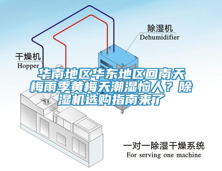 华南地区华东地区回南天梅雨季黄梅天潮湿恼人？除湿机选购指南来了