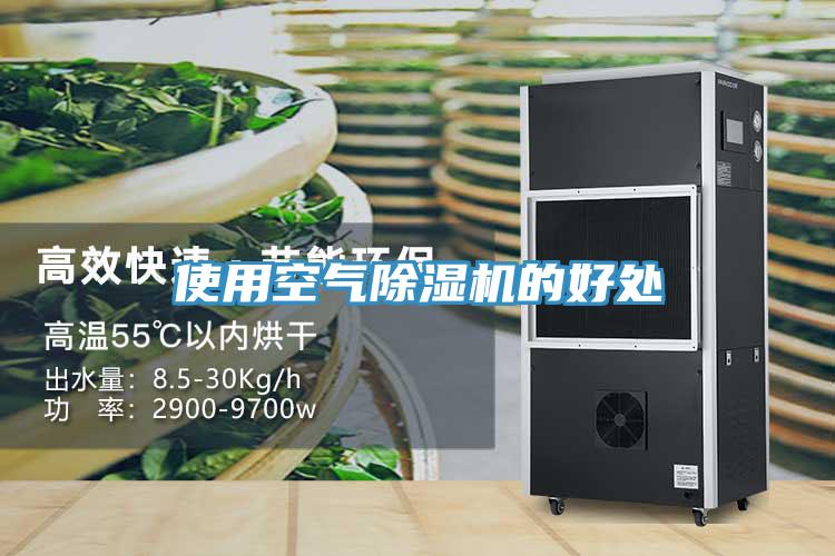 使用空气除湿机的好处