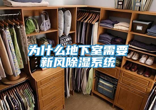 为什么地下室需要新风除湿系统