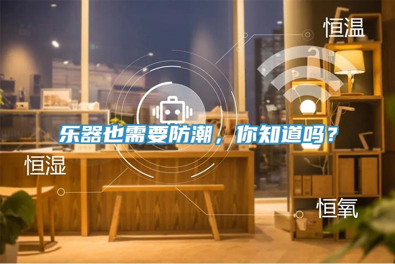 乐器也需要防潮，你知道吗？