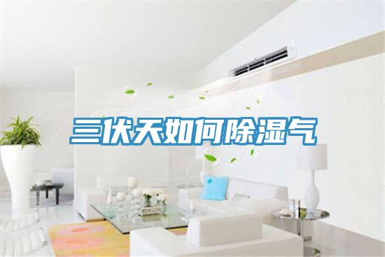 三伏天如何除湿气