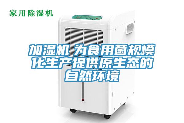 加湿机　为食用菌规模化生产提供原生态的自然环境