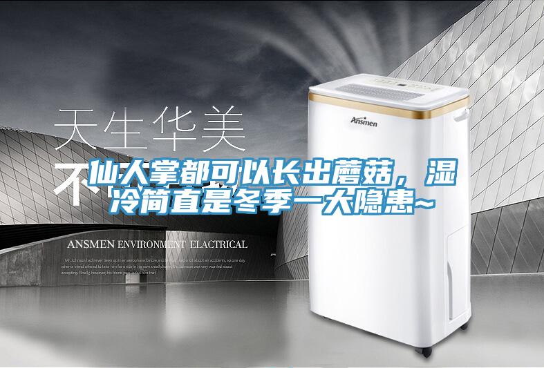 仙人掌都可以长出蘑菇，湿冷简直是冬季一大隐患~