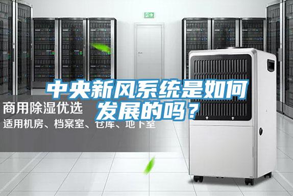 中央新风系统是如何发展的吗？