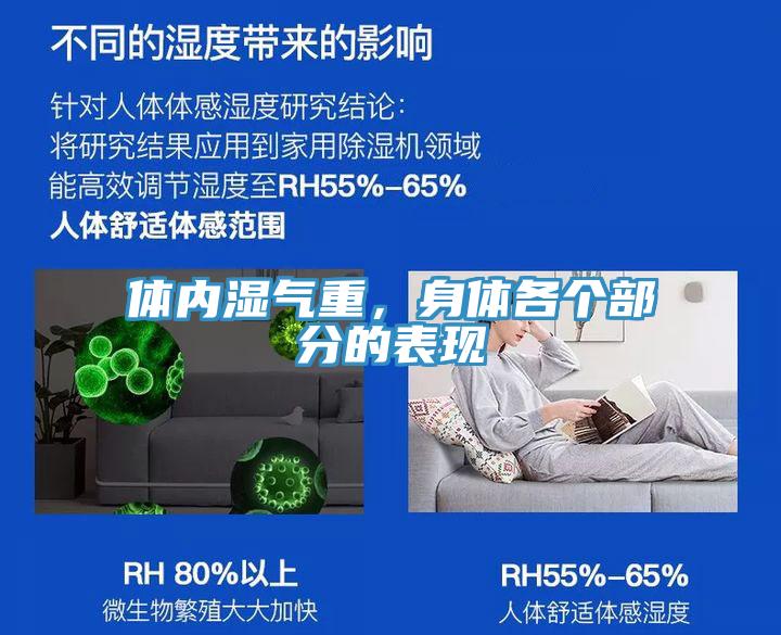 体内湿气重，身体各个部分的表现