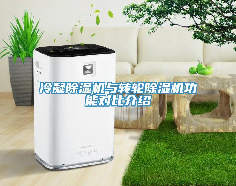 冷凝除湿机与转轮除湿机功能对比介绍