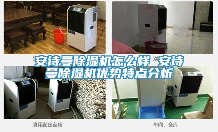 安诗曼除湿机怎么样 安诗曼除湿机优势特点分析