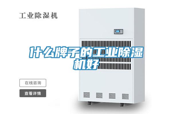 什么牌子的工业除湿机好