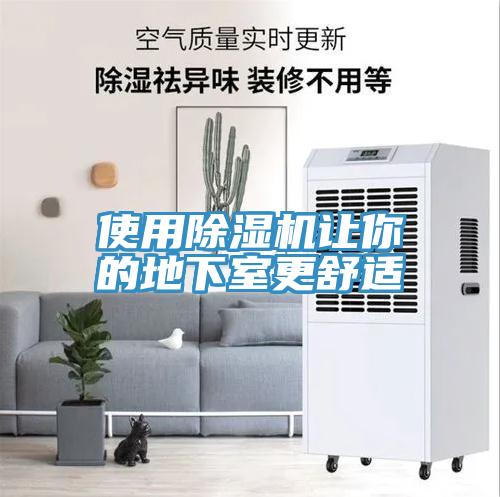 使用除湿机让你的地下室更舒适