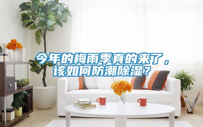 今年的梅雨季真的来了，该如何防潮除湿？