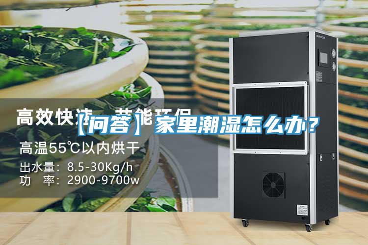 【问答】家里潮湿怎么办？