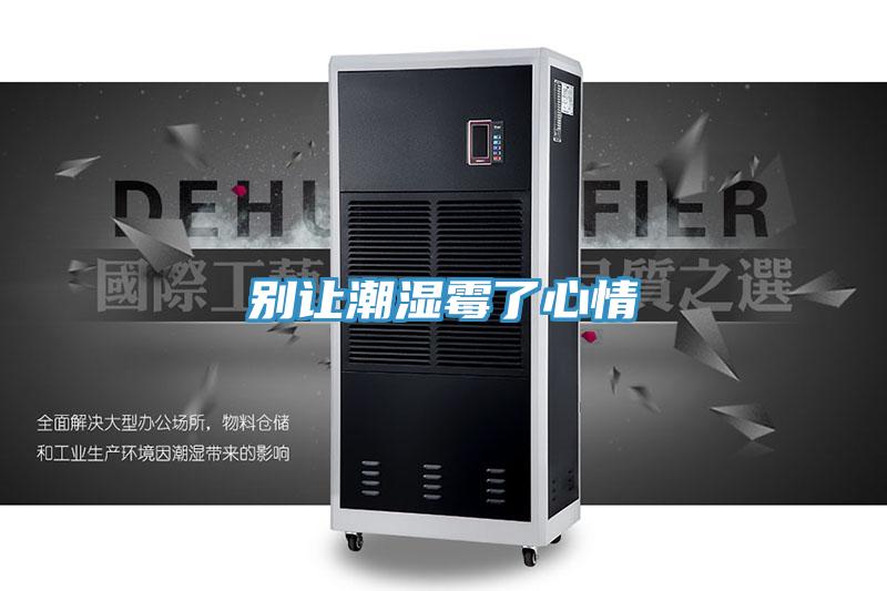别让潮湿霉了心情