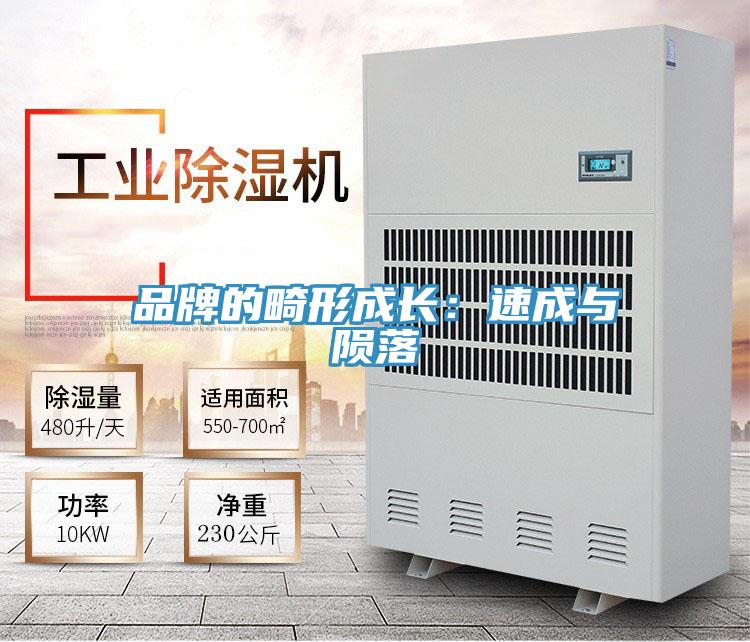 品牌的畸形成长：速成与陨落