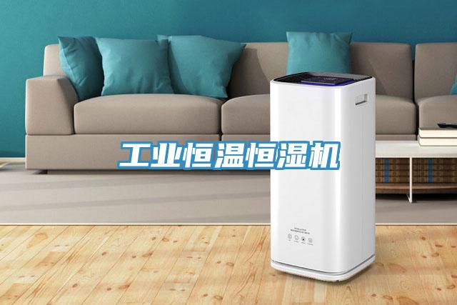 工业恒温恒湿机