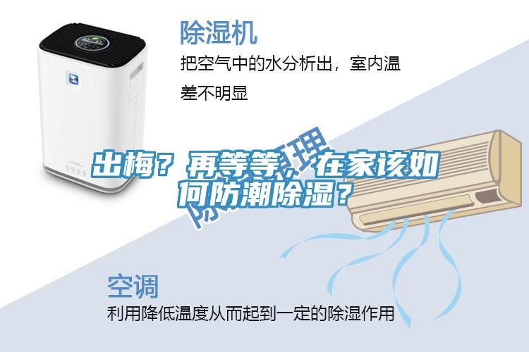 出梅？再等等，在家该如何防潮除湿？