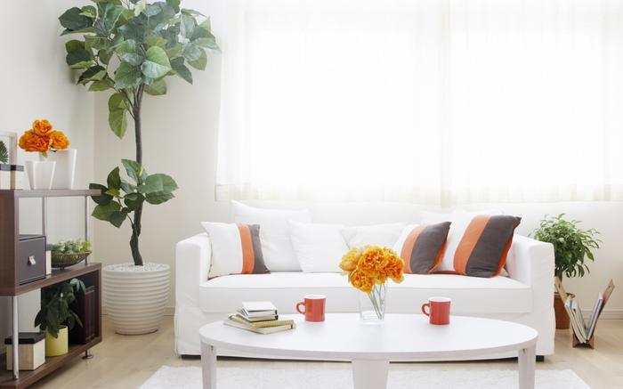 加湿器有副作用吗,对身体有没有伤害?