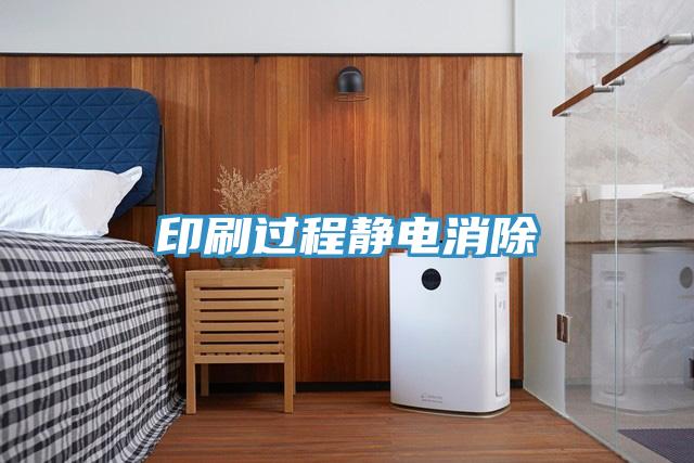 印刷过程静电消除
