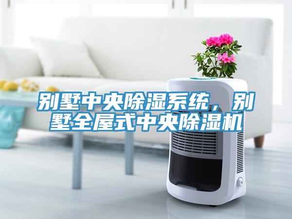 别墅中央除湿系统，别墅全屋式中央除湿机