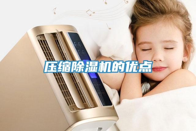压缩除湿机的优点
