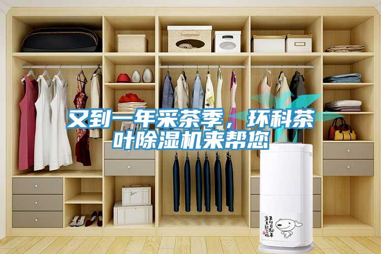 又到一年采茶季，环科茶叶除湿机来帮您