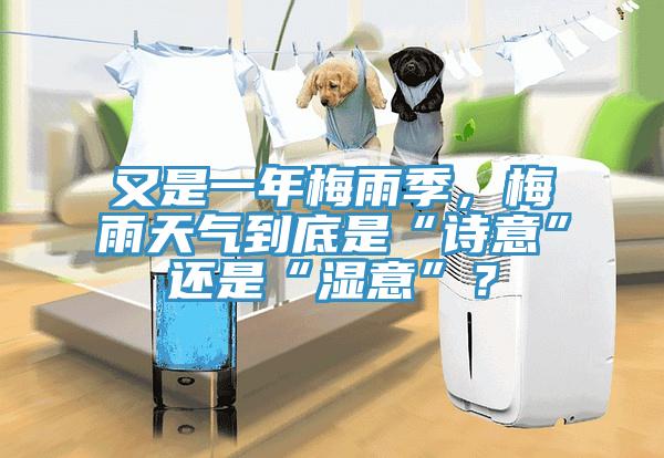 又是一年梅雨季，梅雨天气到底是“诗意”还是“湿意”？