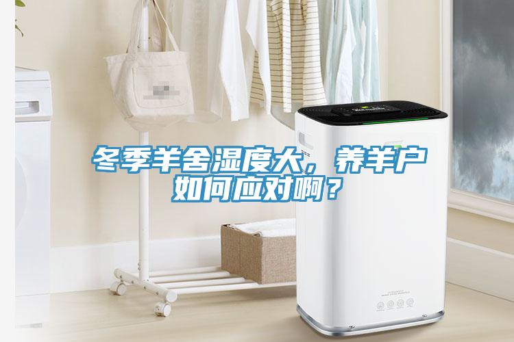 冬季羊舍湿度大，养羊户如何应对啊？