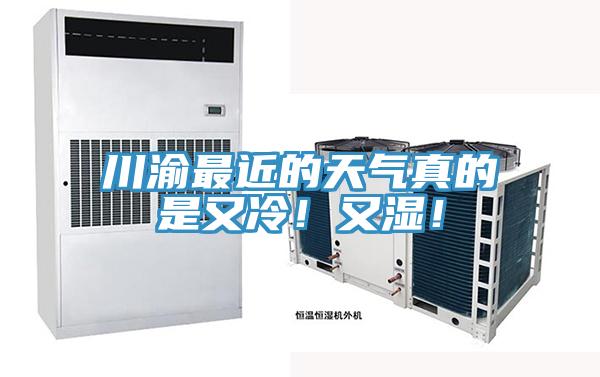 川渝最近的天气真的是又冷！又湿！