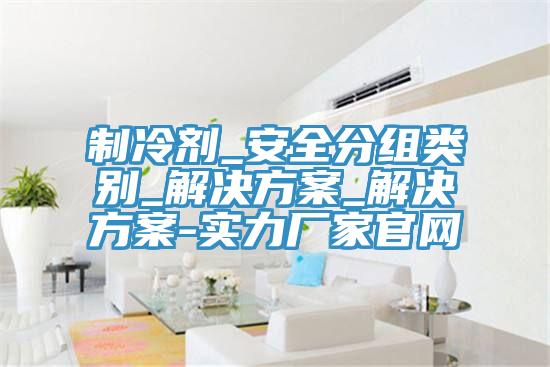 制冷剂_安全分组类别_解决方案_解决方案-实力厂家官网