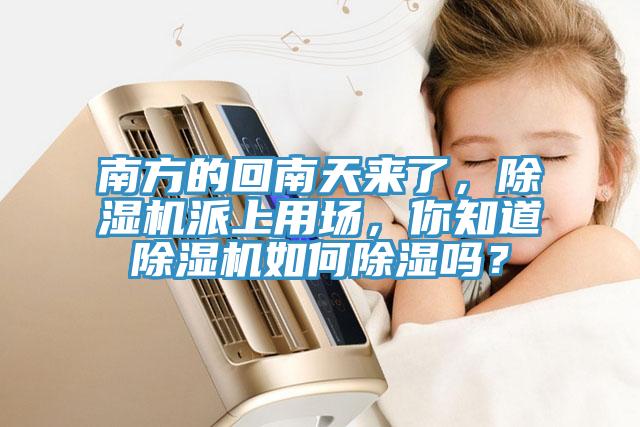 南方的回南天来了，除湿机派上用场，你知道除湿机如何除湿吗？