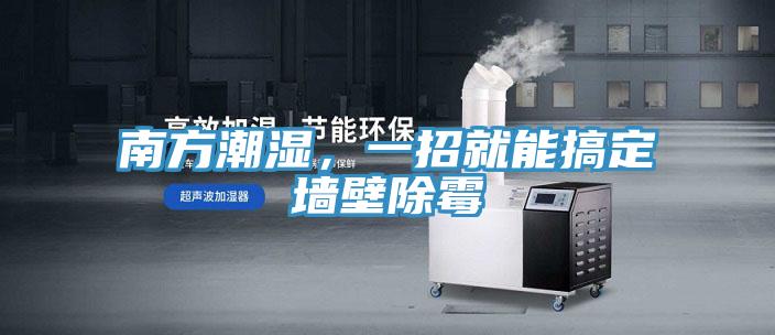 南方潮湿，一招就能搞定墙壁除霉