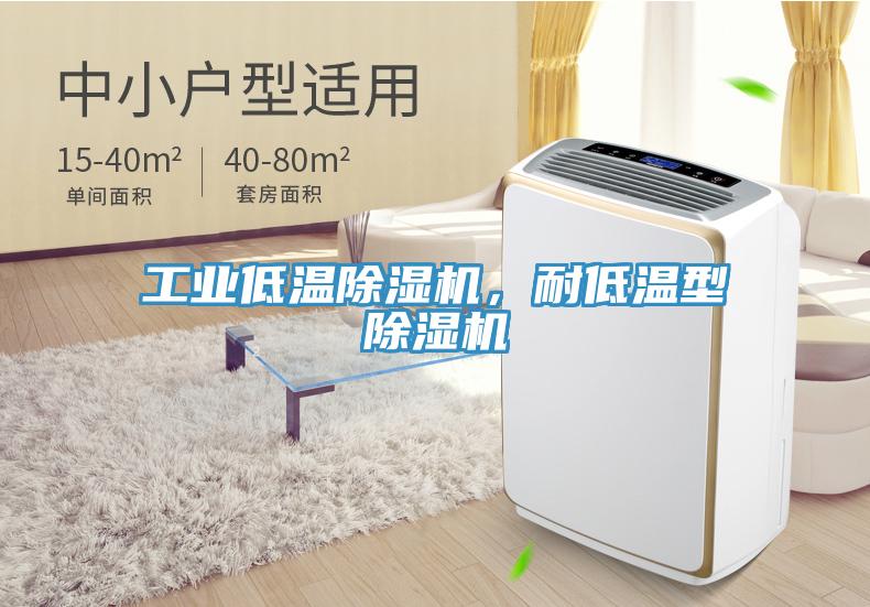 工业低温除湿机，耐低温型除湿机