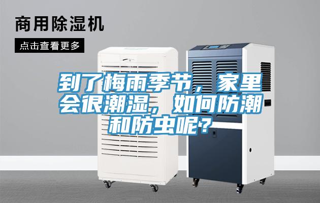 到了梅雨季节，家里会很潮湿，如何防潮和防虫呢？