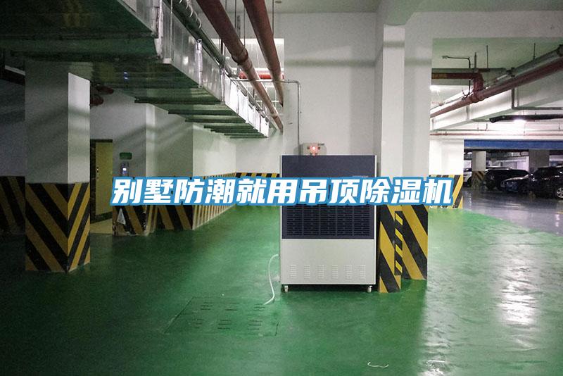 别墅防潮就用吊顶除湿机