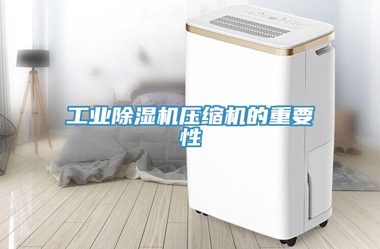 工业除湿机压缩机的重要性