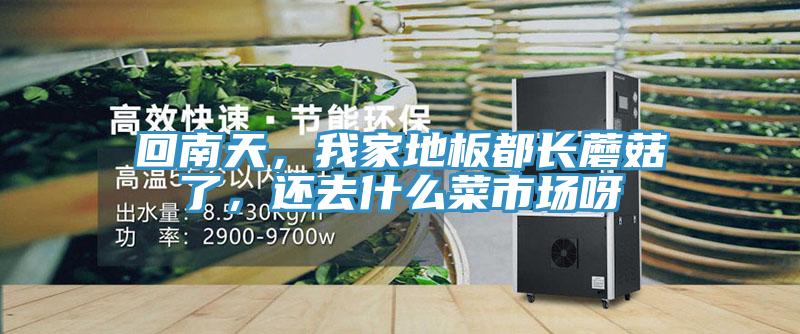 回南天,我家地板都长蘑菇了,还去什么菜市场呀