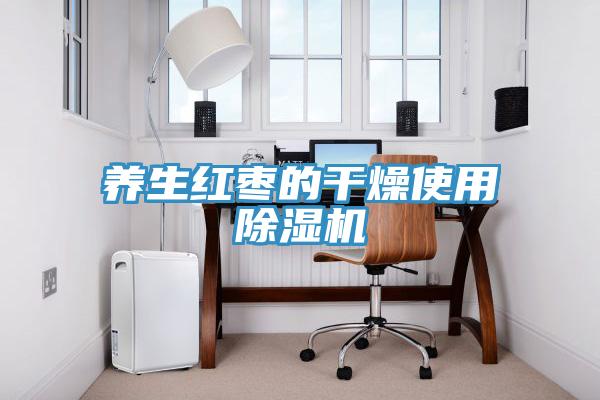 养生红枣的干燥使用除湿机