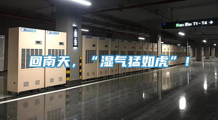 回南天，“湿气猛如虎”！
