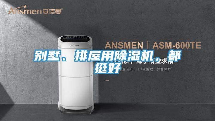别墅、排屋用除湿机，都挺好