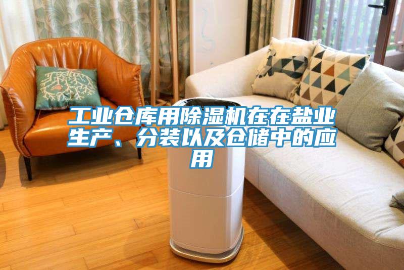 工业仓库用除湿机在在盐业生产、分装以及仓储中的应用