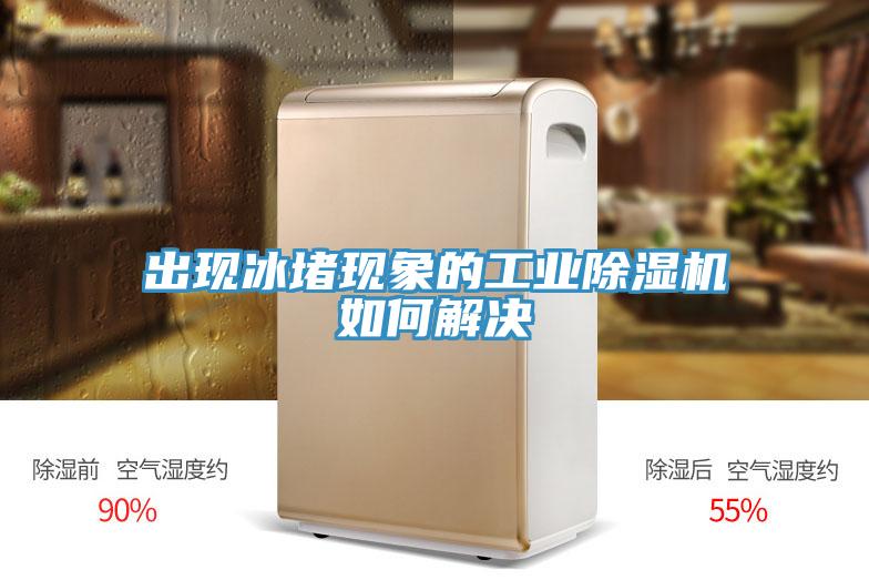 出现冰堵现象的工业除湿机如何解决