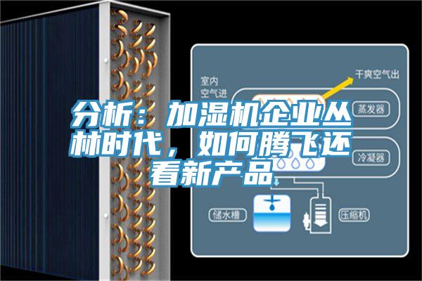 分析：加湿机企业丛林时代，如何腾飞还看新产品